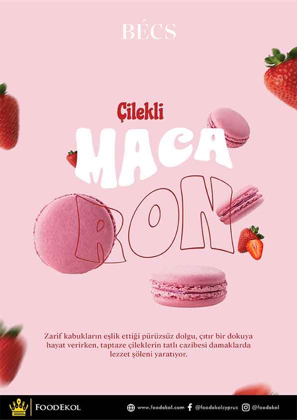 foodekol portfolyo
